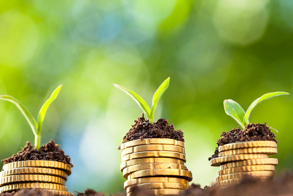 carlson dash - start-up business loans - small business advice